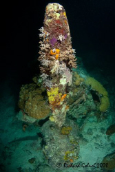 One of the engines of Betty Bomber-Truk Lagoon by Richard Goluch 